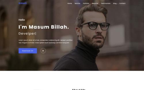 Emeli - Personal Resume and Portfolio WordPress Theme theme free